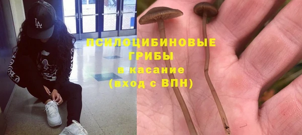 a pvp Алзамай